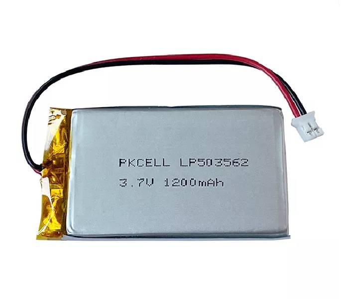 photo d'une batterie pour balance SFM300