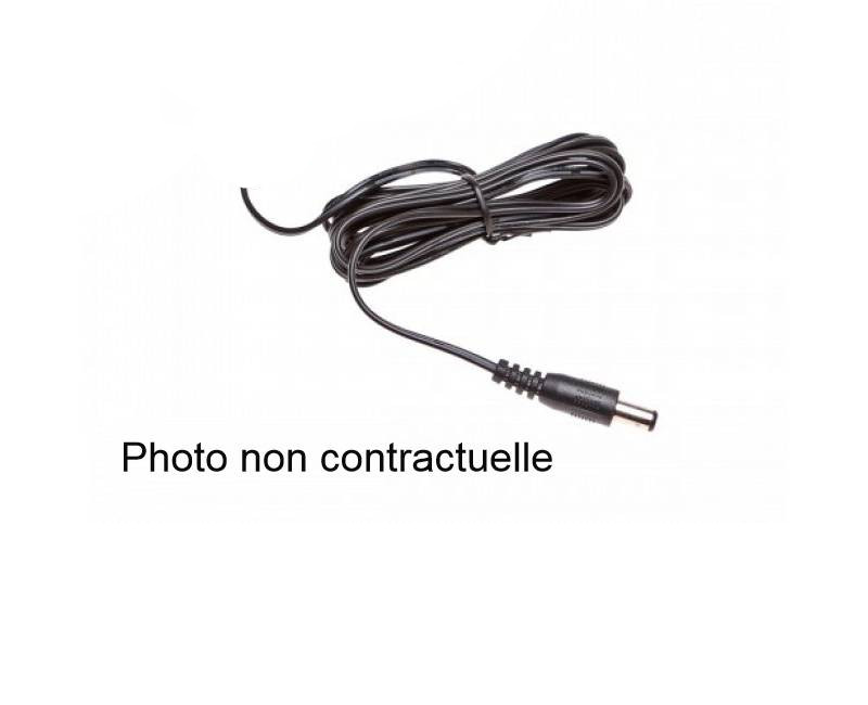 Photo d'un cordon d'alimentation de batterie dsc