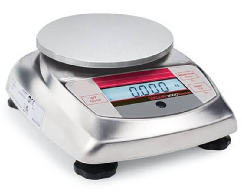 Photo d'une balance de cuisine Valor 3000 en acier inoxydable